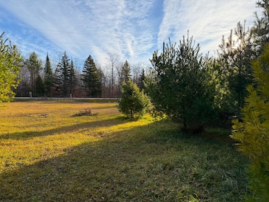 0 Brevort Lake Rd unit 25-1160, Moran, MI 49760 - photo 2