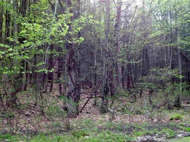 TBD Old Minnewaska Trail, Kerhonkson, NY 12446 - photo 7