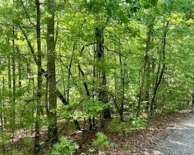 0 Hillbilly Holler unit 7429512, Blue Ridge, GA 30513 - photo 6