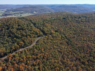 0000 Highway 412, Berryville, AR 72616 - photo 7