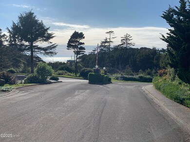 TL 600 SW Sailfish Loop, Waldport, OR 97394 - photo 6