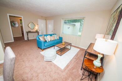 6570 Bartholf Ave, Jacksonville, FL 32210 - photo 3