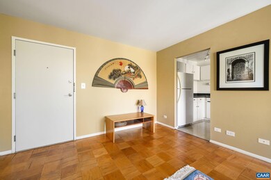 511 1st St N unit 509, Charlottesville, VA 22902 - photo 5