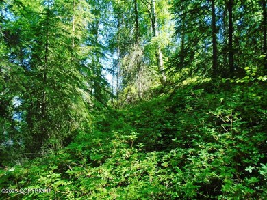 A side of hill