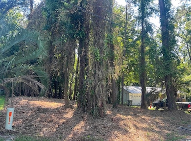 1229 Park Hill Dr, Conway, SC 29526 - photo 5