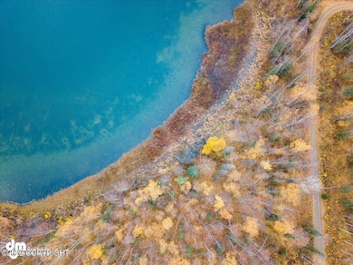 10579 N Little Lonely Lake Rd, Willow, AK 99688 - photo 4