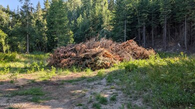 Deep Creek Loop Tract 2 pic 11