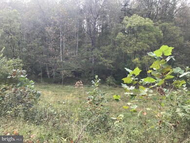 0 Brinkley Sperryville unit VARP2000412, Boston, VA 22713 - photo 4