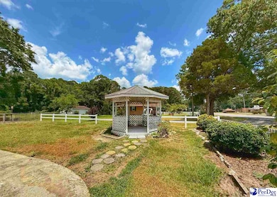 Carousel Image