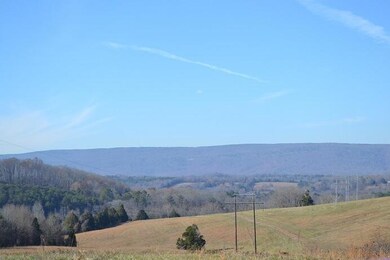 90+/-Acres Old Rhea Springs Rd, Spring City, TN 37381 - photo 6