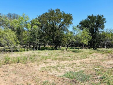 Tbd Interstate 20, Santo, TX 76472 - photo 6