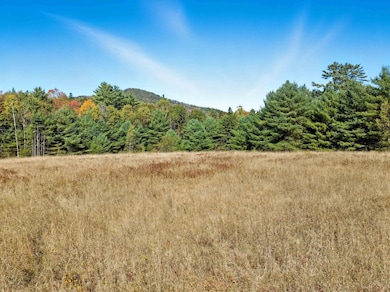 115 Adams Farm Rd, Thornton, NH 03285 - photo 4