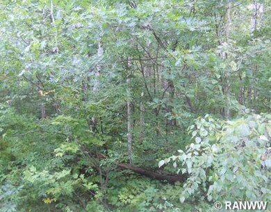 0 16th Ave unit 881556, Sumner Township, WI 54868 - photo 6