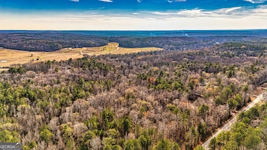 4295 Georgia 166, Douglasville, GA 30135 - photo 5