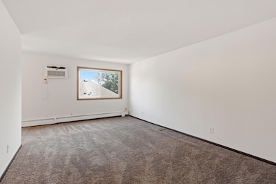 333 8th St SE unit 305, Minneapolis, MN 55414 - photo 6