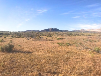 Na, Dolan Springs, AZ 86441 - photo 5