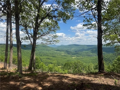 106 Nc 6829, Jasper, AR 72641 - photo 4