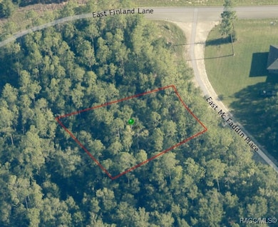 115 E McFaddin Place, Citrus Springs, FL 34434 - photo 4