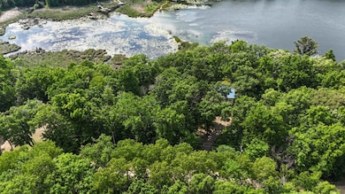 XXX Pinewood Ct, Browerville, MN 56438 - photo 6