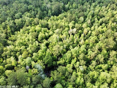 0 St Hwy 59 unit 348142, Stockton, AL 36579 - photo 3