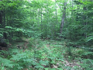 6 Ledgeside Ln, Plymouth, NH 03264 - photo 7