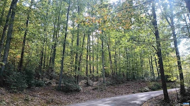 0 Oakcrest Ln unit 3, Rockfish, VA 22958 - photo 2