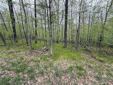 17595 Wood Crest Dr, Cable, WI 54821 - photo 2