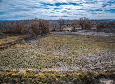 1663 H38 Rd, Delta, CO 81416 - photo 7