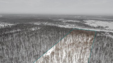 2-web-or-mls-DJI_0464