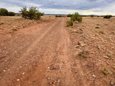 Tbd N5333, Concho, AZ 85924 - photo 6