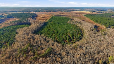 TBD S Carolina 34, Bishopville, SC 29010 - photo 5