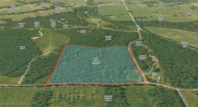 12401 Readings Rd, Gentry, AR 72734 - photo 4