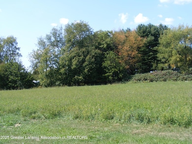 0 Marshall Rd, Charlotte, MI 48813 - photo 6