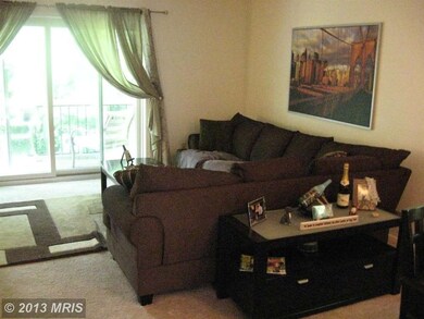 11919 Blue February Way, Columbia, MD 21044 - photo 7