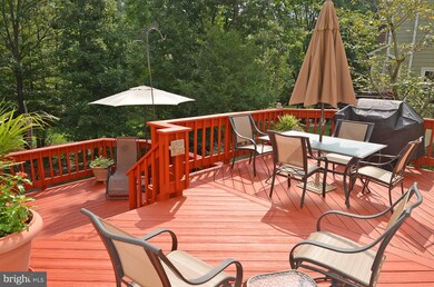 15401 Martins Hundred Dr, Centreville, VA 20120 - photo 6