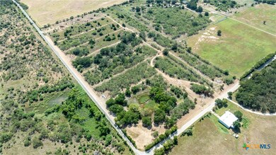 226 Tumbleweed Trail, Dale, TX 78616 - photo 4