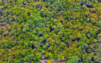 Additional View