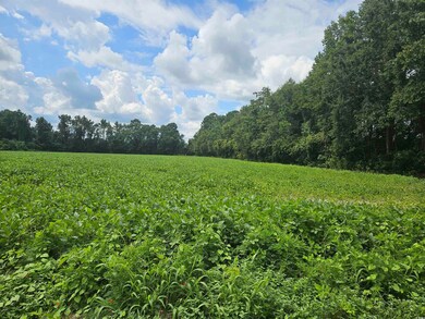 View of nature with abundant farmland and rural landscape