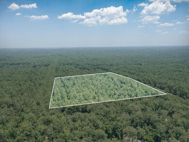 xx Acorn Dr, Crawfordville, FL 32327 - photo 4