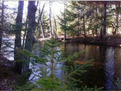 Trout Fishing Paradise