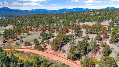 163 Valley View Dr, Florissant, CO 80814 - photo 2