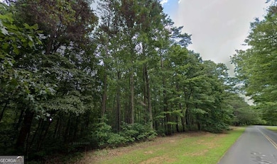 0 Doll Mountain Rd unit 10567230, Ellijay, GA 30540 - photo 4