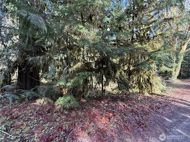 0 High Ridge Dr unit NWM2348116, Marblemount, WA 98267 - photo 2