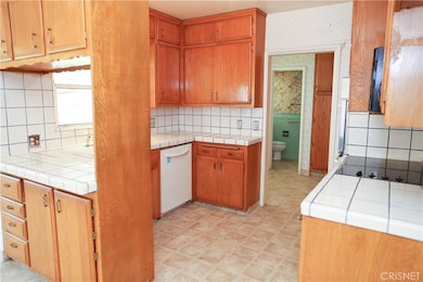 15010 Larkspur St, Sylmar, CA 91342 - photo 5