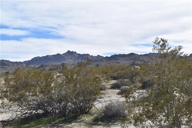 7157 Sunkist Rd, Joshua Tree, CA 92252 - photo 7