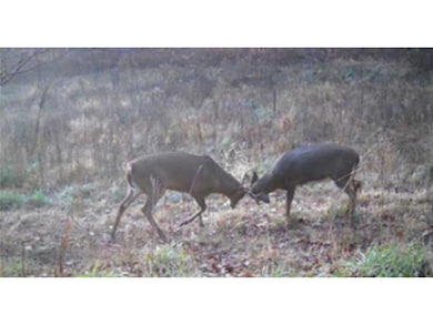 E3357 1120th Avenue Ave, Boyceville, WI 54725 - photo 4