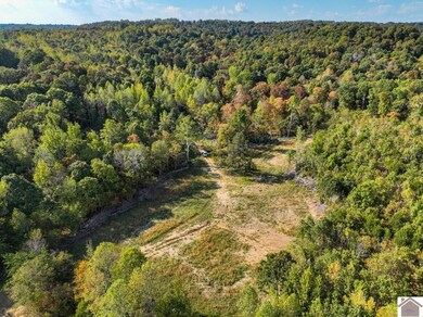 000 Cedar Grove Rd unit (Livingston Co. KY 9, Salem, KY 42078 - photo 6