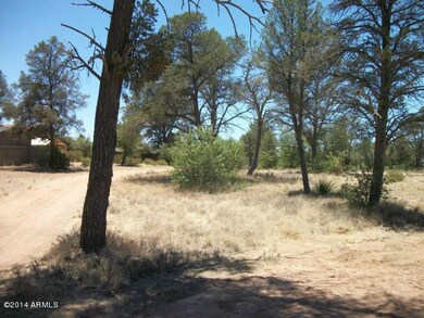 400 W Forest Dr unit 15, Payson, AZ 85541 - photo 2