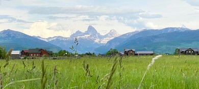image00045[1]