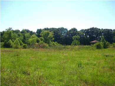 More views of the span of the land!